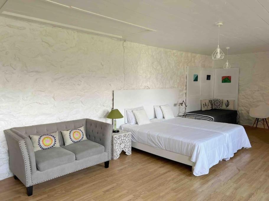 Casa Do Cacto - Flat