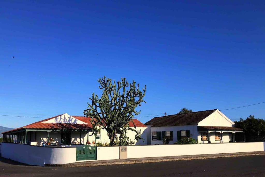 Apartment Casa Do Cacto - Flat Madalena (Azores)