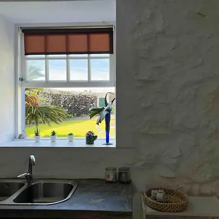 Casa Do Cacto - Studio Flat Madalena  Exterior photo