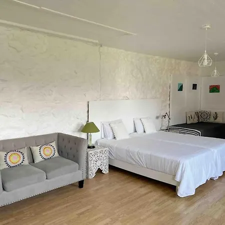 Casa Do Cacto - Studio Flat Madalena  Exterior photo